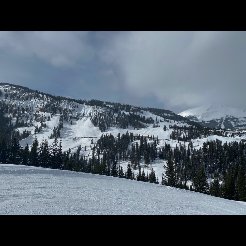 Meet your Posher, Meredith